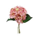Hortensia Decorativa Rosa