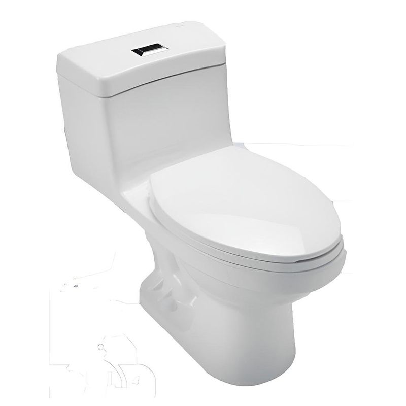 Sanitario One Piece Oasis Dual Briggs