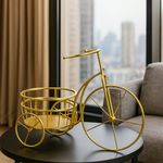 Bicicleta Decorativa de Metal para Macetas