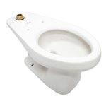 Sanitario Cadet Plus con Fluxómetro Manual Elongado