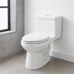 Sanitario One Piece Oasis Dual Briggs