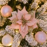 Flor de Pascua Rosado y Champagne