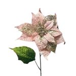 Flor de Pascua Rosado y Champagne