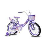 Bicicleta Bmx Rin 16 Castillo Princesa Colores Surtidos