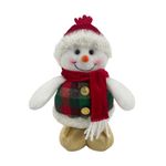 Muñeco de Nieve con Chaleco Decorativo