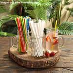 Pajilla Biodegradable Con Cobertor 250U - Nat-bio