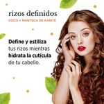 Acondicionador Rizos Definidos con Coco y Manteca de Karité