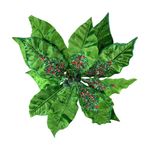 Pascua Verde con Centro de Brillos Navideña