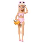 Muñeca Barbie Dream Besties Malibu