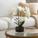 Orquídea con Pote Artificial Blanca