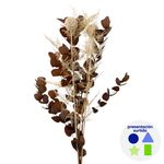 Rama de Eucalipto Artesanal Presentación Surtida