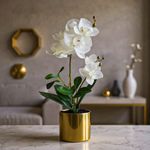 Orquídea Decorativa con Pote