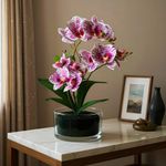 Orquídea Decorativa con Pote