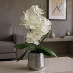 Orquídea Decorativa con Maceta