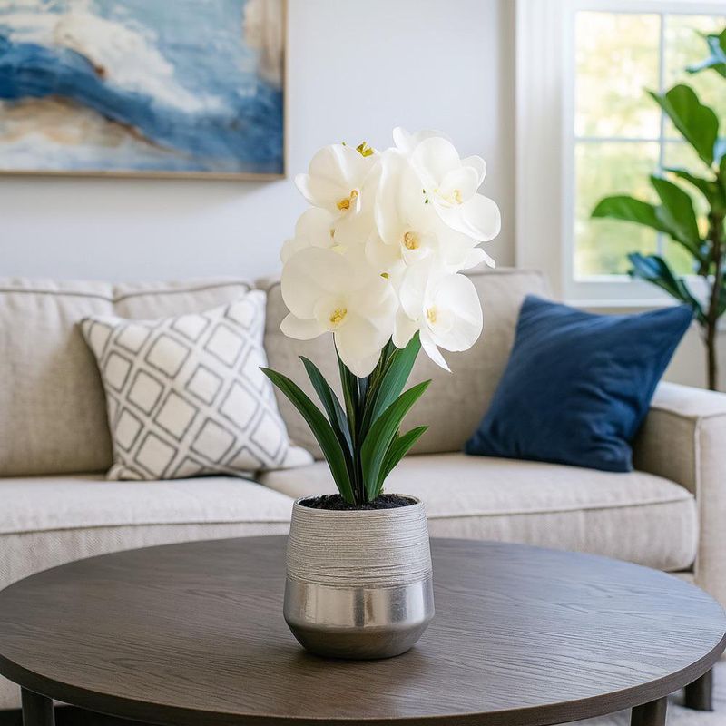 Orquídea Decorativa con Maceta