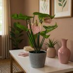 Anturio Artificial con Pote 22 x 22 x 36 Cm