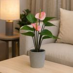 Anturio Artificial con Pote 22 x 22 x 36 Cm