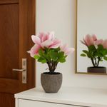 Magnolia Artificial con Pote