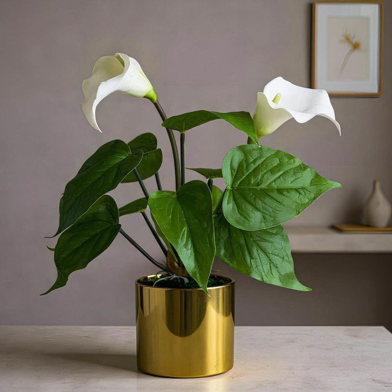 Planta Decorativa con Pote