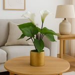 Planta Decorativa con Pote