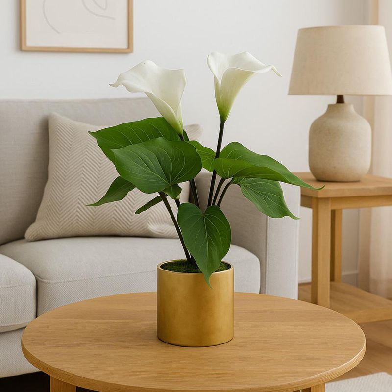 Planta Decorativa con Pote