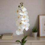 Orquídea Decorativa Blanca