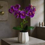 Orquídea Decorativa con Pote