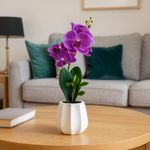 Orquídea Decorativa con Pote