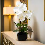 Orquídea Decorativa con Maceta 40 cm