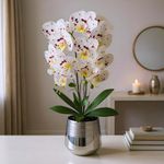 Orquídea Artificial con Pote Blanca