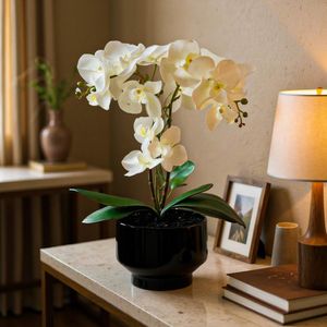 Orquídea Decorativa con Pote