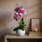 Orquídea Decorativa con Pote