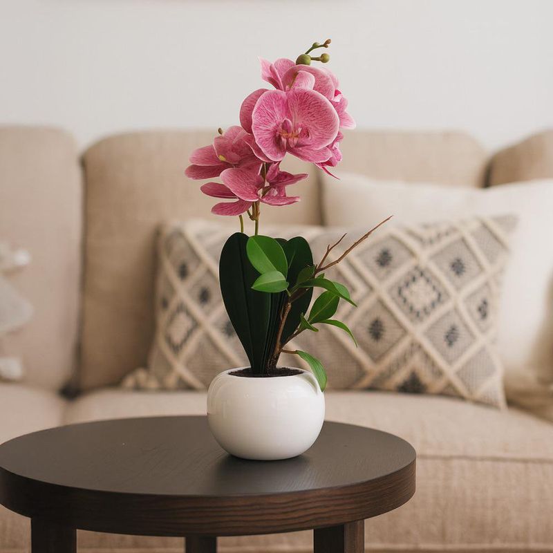 Orquídea Decorativa con Pote