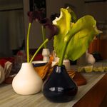 Florero Pequeño Blanco Mate con Forma Orgánica