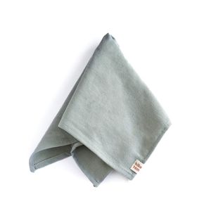 Set de 4 Servilletas Menta 50x50 Cm