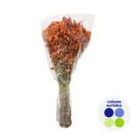 Bunch de Flores Decorativas de Amaranto Colores Surtidos