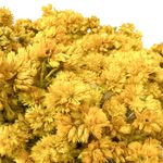 Bunch de Flores Decorativas de Amaranto Colores Surtidos