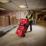 Caja de Herramientas con Rodos Packout 22 Plg