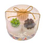 Juego de 3 Velas Cilíndricas Diseño Plantitas