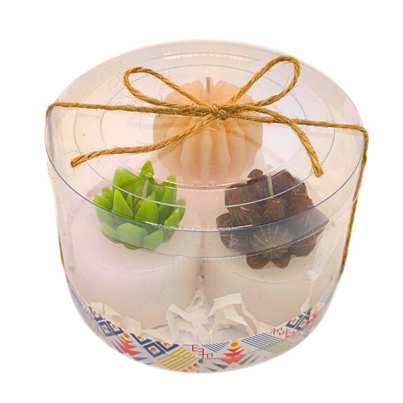 Juego de 3 Velas Cilíndricas Diseño Plantitas