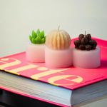 Juego de 3 Velas Cilíndricas Diseño Plantitas