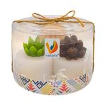 Juego de 3 Velas Cilíndricas Diseño Plantitas