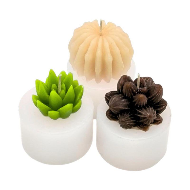 Juego de 3 Velas Cilíndricas Diseño Plantitas