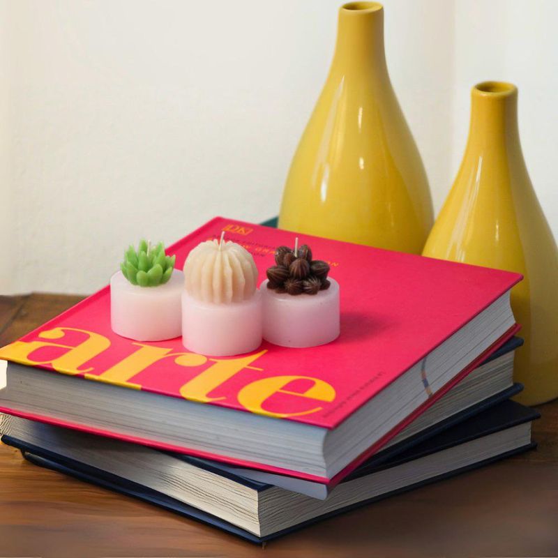 Juego de 3 Velas Cilíndricas Diseño Plantitas