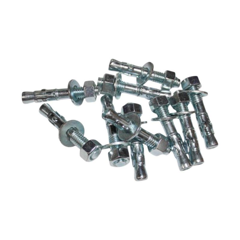 Set de 10 Tornillos de Expansión de 5/16 x 3 Plg