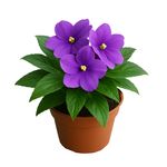 Flor Morada en Maceta