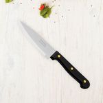 Cuchillo De Chef Mango Plástico 5 Plg - Pretul