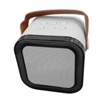 Mini Karaoke con 2 Micrófonos Inalámbricos