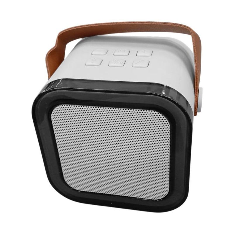 Mini Karaoke con 2 Micrófonos Inalámbricos