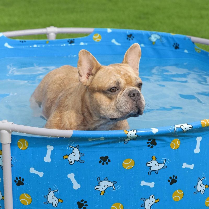Piscina para Mascotas Fetchin